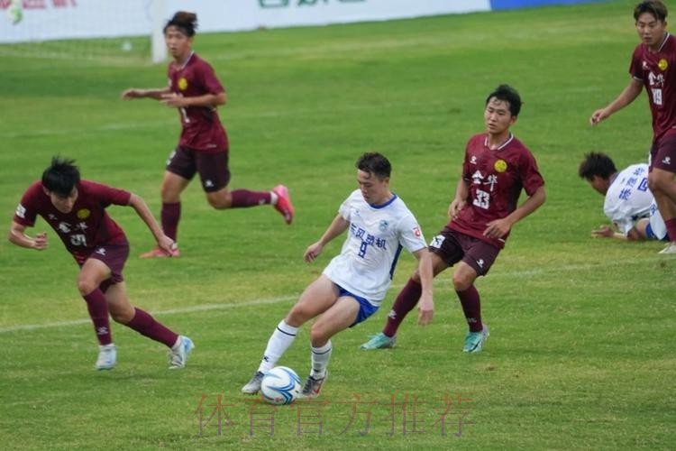 浙超连侨心，乡情燃赛场——50国温籍华裔青少年助威浙超温州赛区